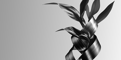 Valutazione di ogni impatto ambientale da Sunmark Stainless secondo standard ISO per garantire qualità e sostenibilità